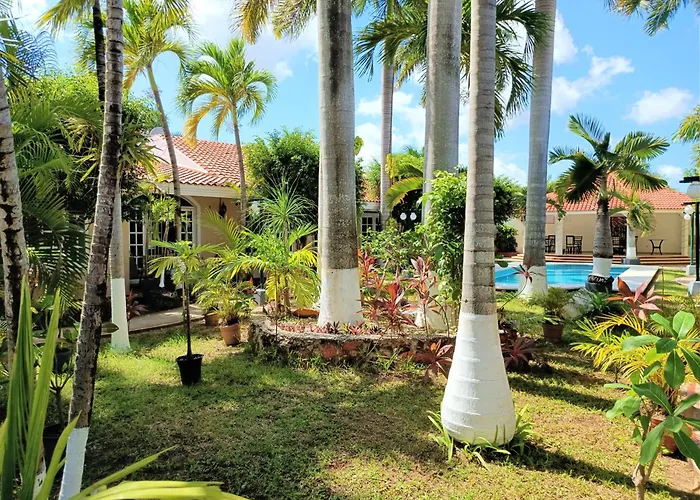 Tulipanes Cancun